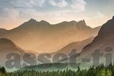 成人麻豆av-与其对社会的复杂影响
