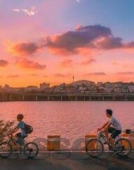 成人无码免费一区二区三区-成人无码免费一区二区三区，网络世界的灰色地带与个人选择