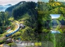 国产中文字幕无线观看视频-国产中文字幕无线观看视频的多元化视角
