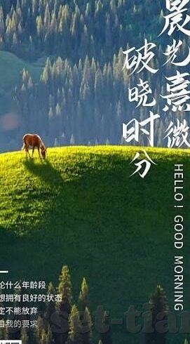 麻豆av在线免费播放-麻豆如何在平淡生活的缝隙中绽放？论免费手机应用下的影像艺术探索
