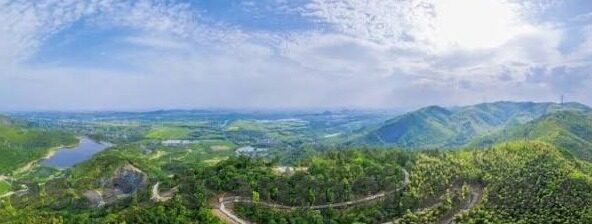 麻豆传媒2021在线观看-麻豆传媒2021，黑胶生活中的光与影