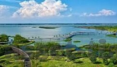 麻豆视频有免费资源吗-麻豆视频的免费资源探秘，真迹与误区