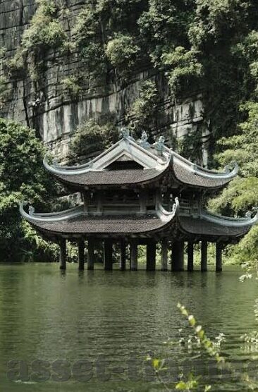 麻豆文化传媒www网站入口-构建数字文化新视界，探索麻豆文化传媒的数字化转型之路