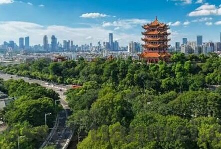 天天日麻豆av-良伴益友，探索麻将与娱乐的和谐共生